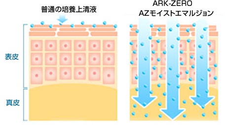 PDS技術を使用したARK-ZEROは、成長因子をたっぷり含んだ幹細胞培養液をお肌深くまで届けます。